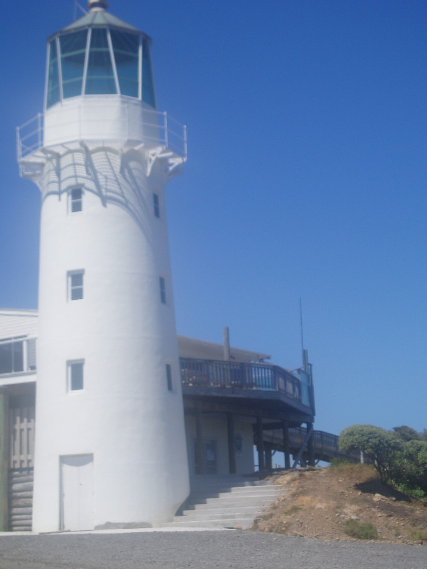 478   07 02   New Plymouth   Foxton